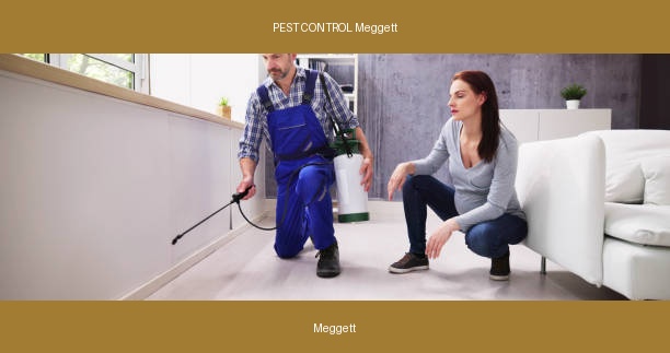 PEST CONTROL Meggett